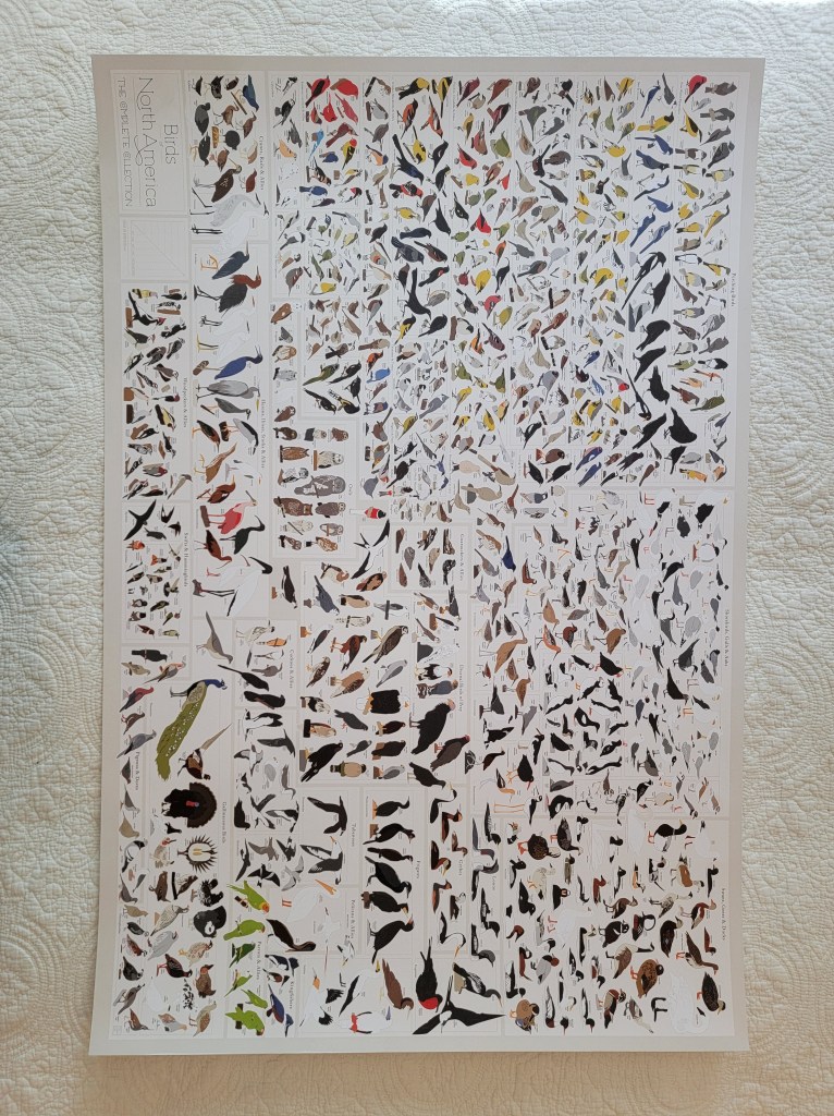 A detailed poster showcasing various bird species found in North America, featuring illustrations that depict their distinctive characteristics and colors.
Birds of North America The Complete Collection (sideways)